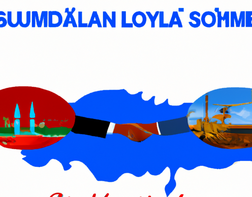 La Somalie et la Turquie signent un accord de défense
