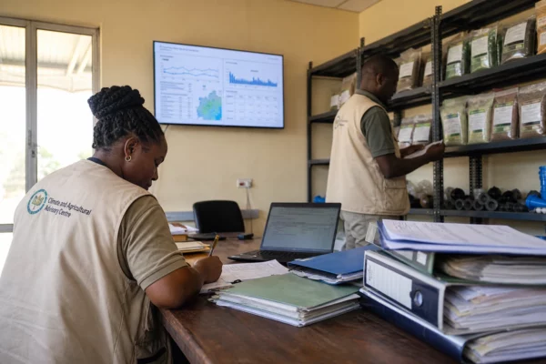 Face à El Niño, l’Afrique risque un choc économique et social plus coûteux que prévu