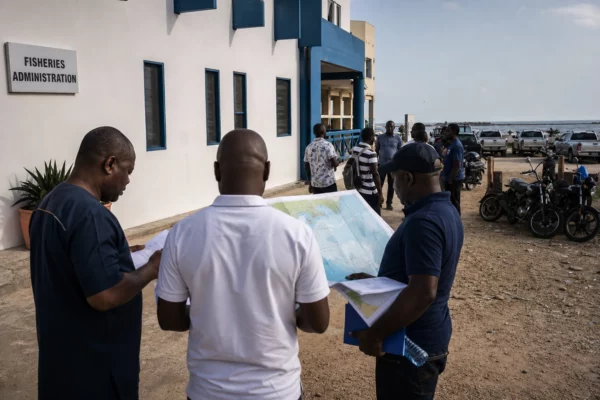 Au Ghana, les pêcheurs s’organisent pour sauver le poisson-guitare, espèce clé d’une côte sous pression