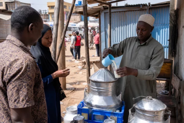 En Afrique, la chaleur extrême pousse les chameaux au stress thermique et fragilise l’élevage pastoral