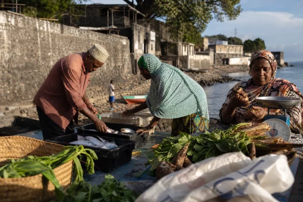 Aux Comores, l’inscription de six médinas à l’UNESCO ouvre un nouveau combat pour sauver un héritage fragile