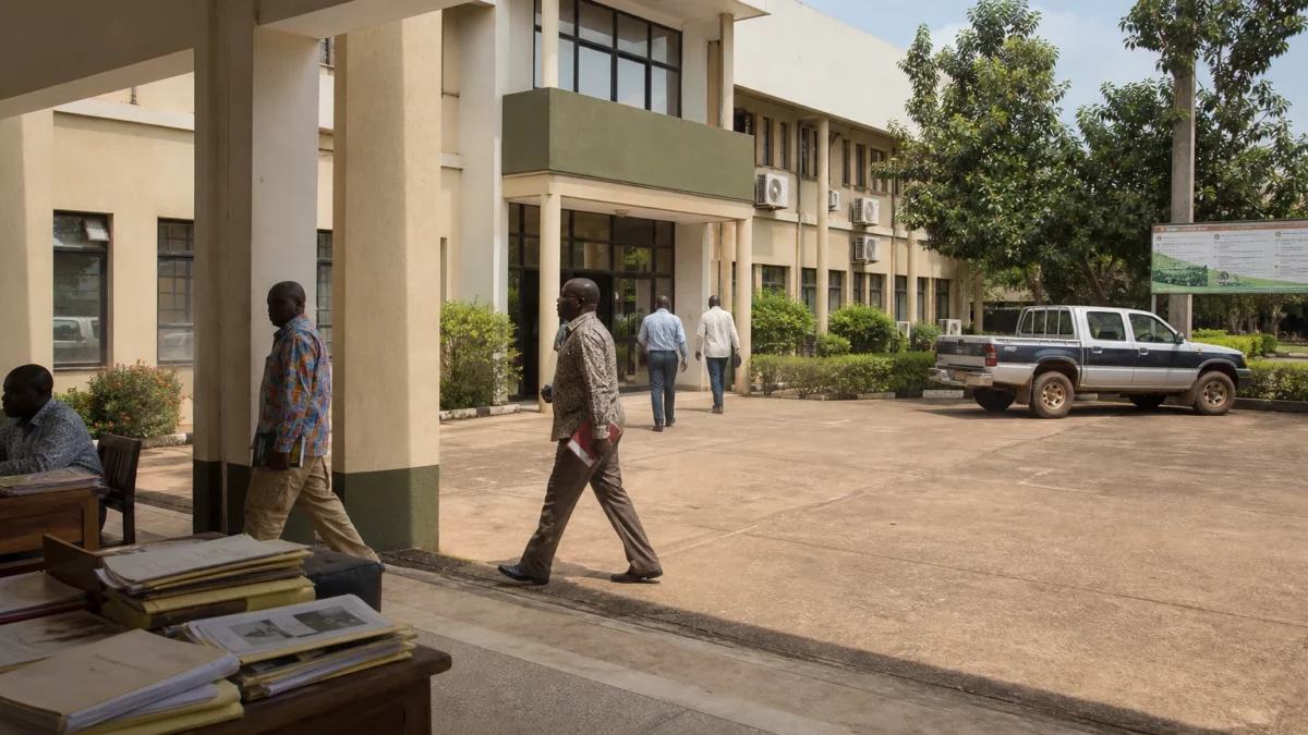 À Bangui, des agricultrices centrafricaines transforment la terre en rempart contre l’insécurité alimentaire
