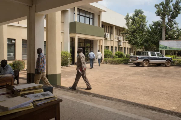 À Bangui, des agricultrices centrafricaines transforment la terre en rempart contre l’insécurité alimentaire