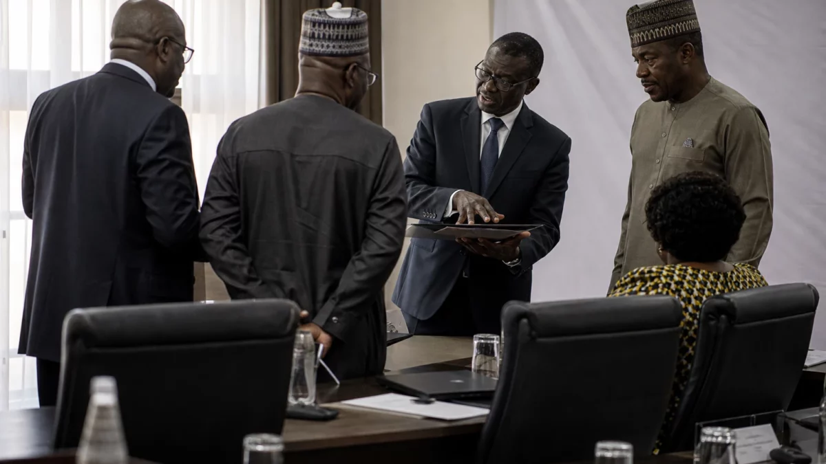 Au Nigeria, la cajou devient un test industriel entre hausse de la production et transformation locale