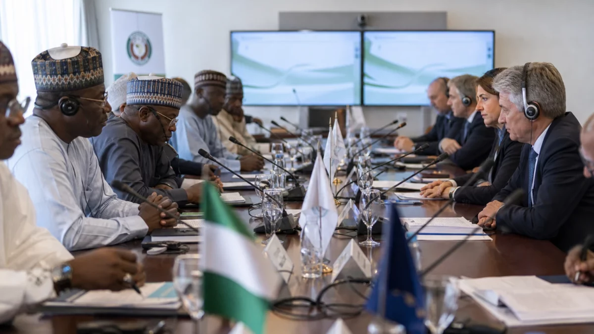 Nigeria et Allemagne: Abuja mise sur l’énergie et le commerce pour transformer un appui sécuritaire en levier économique