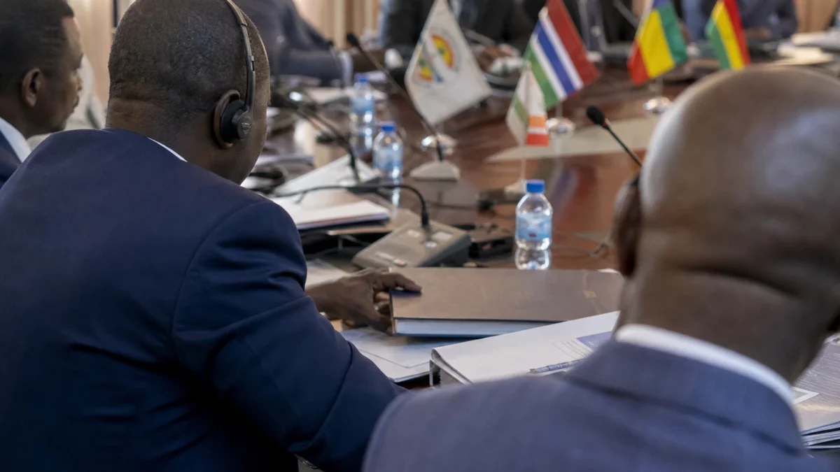 En Gambie, la BIDC parie sur G Farms pour réduire les importations de volaille et de lait grâce à 10,04 millions USD