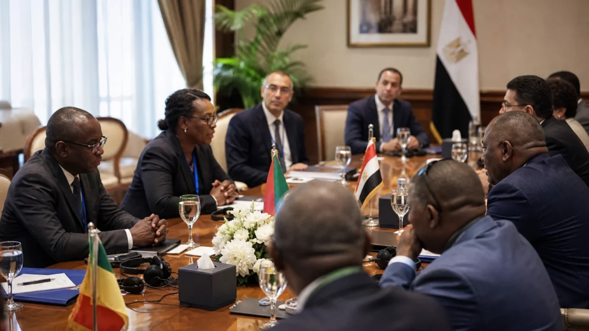 L’Égypte pousse son poulet vers l’Afrique subsaharienne et transforme ses surplus en levier commercial