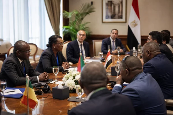 L’Égypte pousse son poulet vers l’Afrique subsaharienne et transforme ses surplus en levier commercial