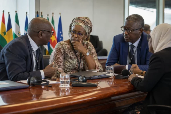 Au Sénégal, la première ferme aquacole en mer veut transformer Palmarin en nouveau pôle halieutique