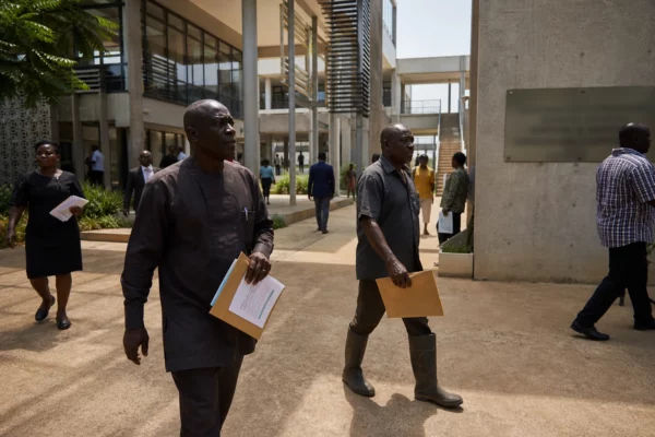 Au Ghana, la loi sur le cacao menace de criminaliser la reconversion des plantations et divise les producteurs