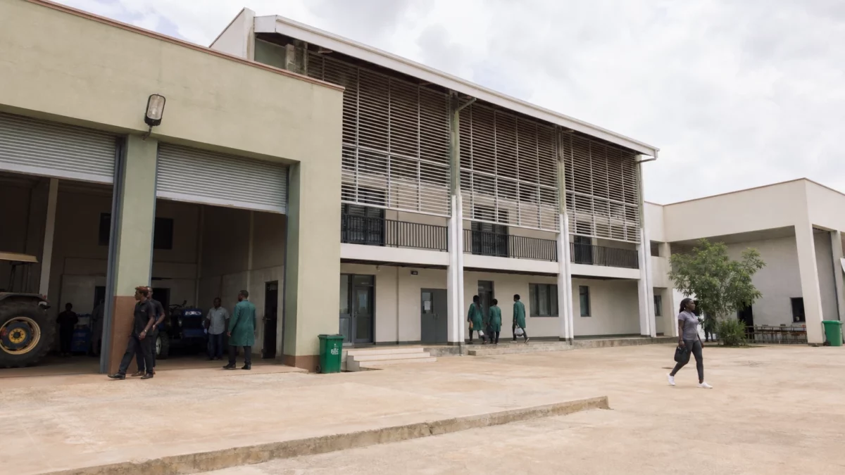 Au Ghana, un fonds de formation agricole mise sur les compétences pour soutenir la modernisation du secteur
