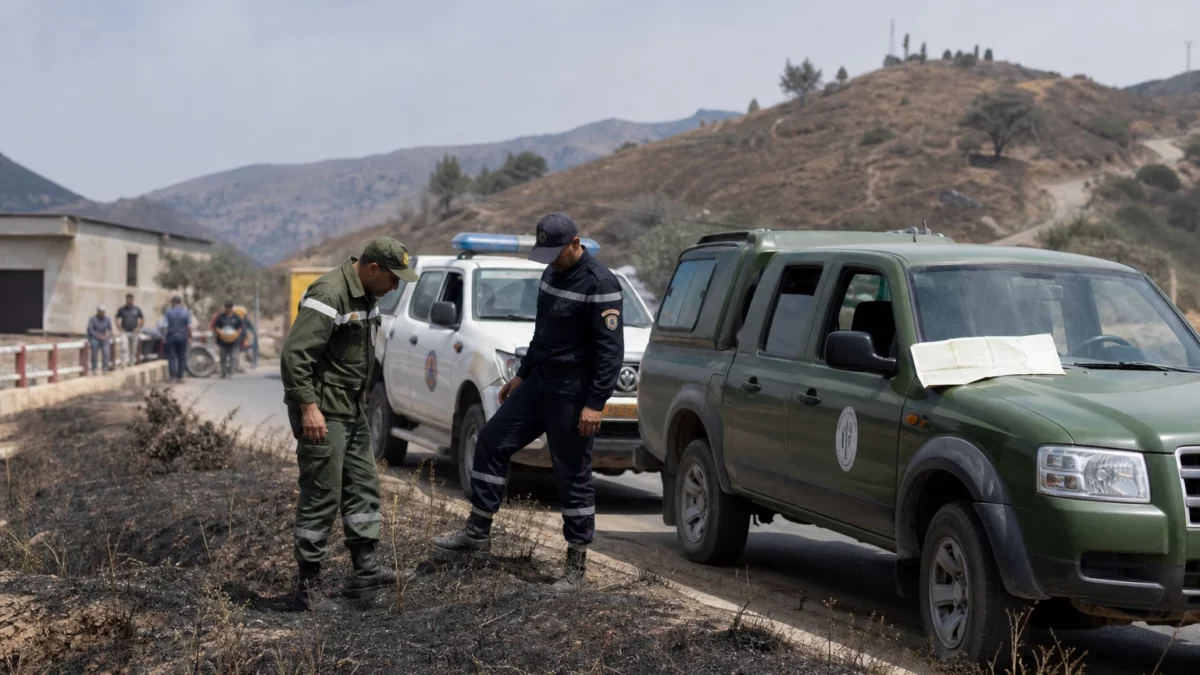 En Algérie, les incendies de forêt frappent l’est du pays et révèlent l’ampleur du risque estival