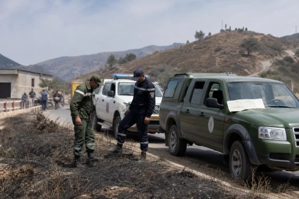 En Algérie, les incendies de forêt frappent l’est du pays et révèlent l’ampleur du risque estival