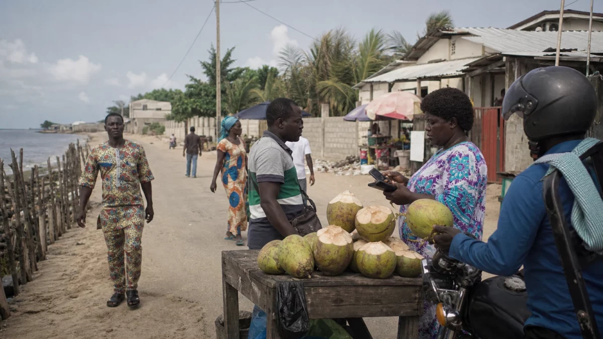 En Côte d’Ivoire, les cocoteraies du littoral cèdent sous l’érosion et la pression urbaine d’Abidjan