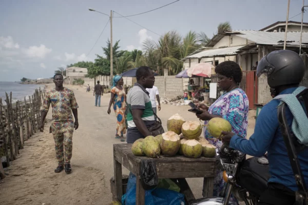 En Côte d’Ivoire, les cocoteraies du littoral cèdent sous l’érosion et la pression urbaine d’Abidjan
