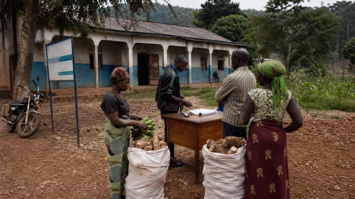 À Mambasa, l’extension des attaques ADF coupe les agriculteurs de leurs champs et enferme l’Ituri dans la peur