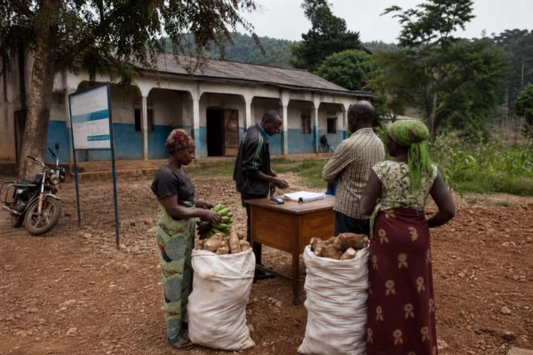À Mambasa, l’extension des attaques ADF coupe les agriculteurs de leurs champs et enferme l’Ituri dans la peur