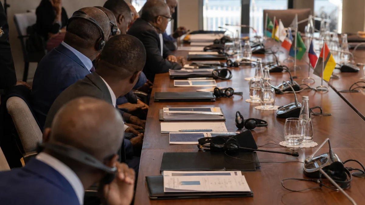 En Afrique du Sud, le dossier Chidimma Adetshina révèle les tensions sur l’identité et la déportation