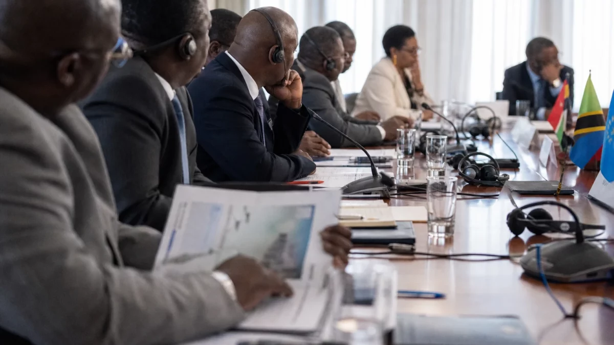 En Afrique du Sud, l’extradition de Ndodana Tshuma révèle les failles de coordination entre justice et immigration