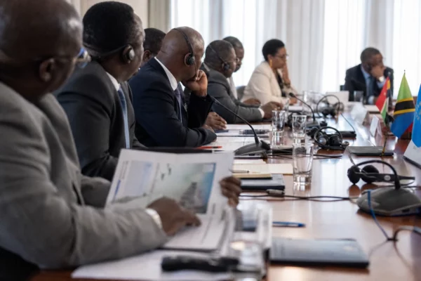 En Afrique du Sud, l’extradition de Ndodana Tshuma révèle les failles de coordination entre justice et immigration