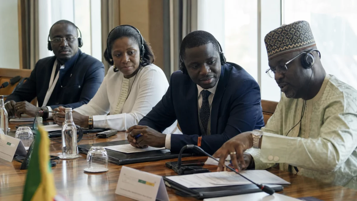 Au Sénégal, le madd de Casamance devient un produit d’export, mais la filière doit encore se professionnaliser