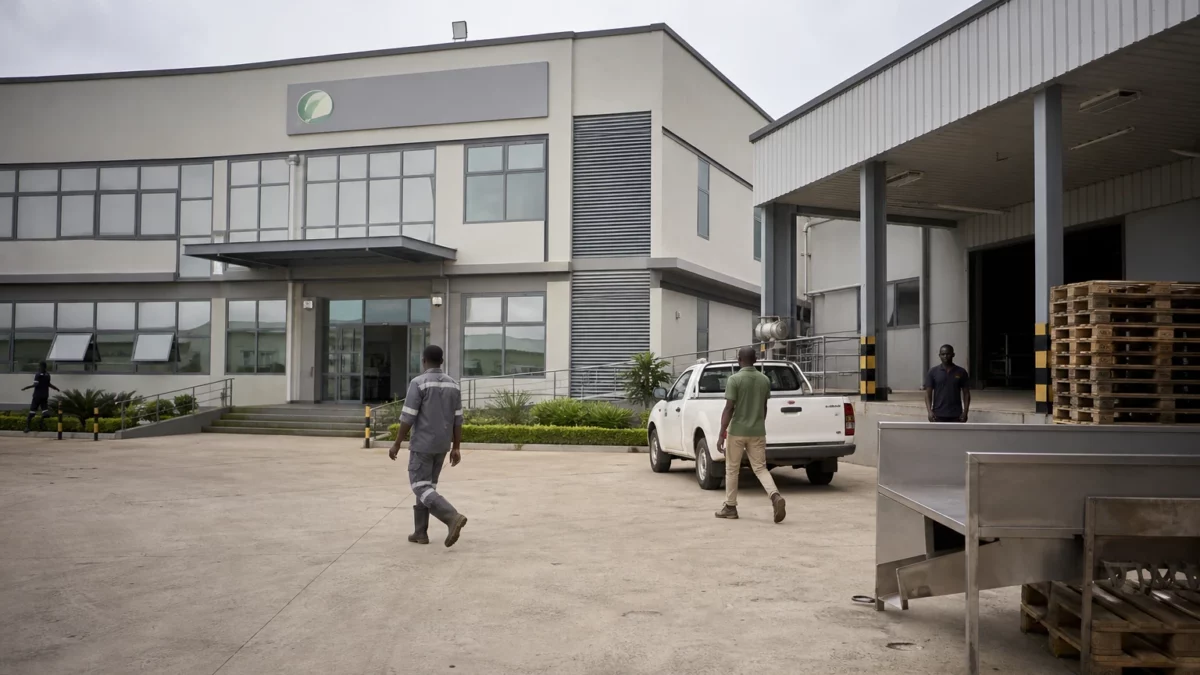 Au Ghana, la transformation du cacao devient l’axe central d’une stratégie pour capter plus de valeur industrielle