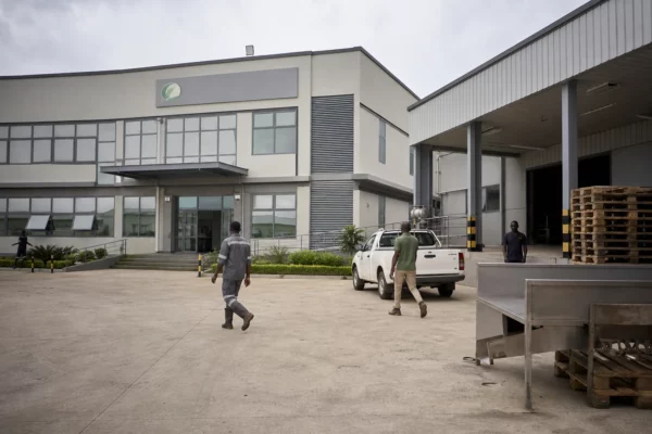 Au Ghana, la transformation du cacao devient l’axe central d’une stratégie pour capter plus de valeur industrielle