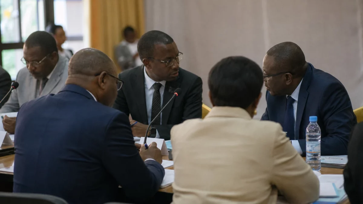 Extrême-Nord du Cameroun : une nouvelle attaque de Boko Haram force des familles à fuir autour de Makary