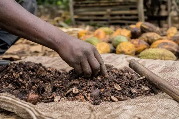 À Yaoundé, la marche contre les féminicides met le Cameroun face à l’urgence de protéger femmes et enfants