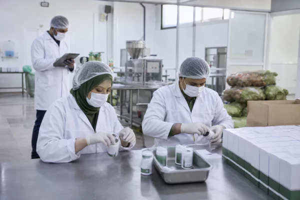 Cannabis médical au Maroc : la filière mise sur la Suisse pour passer du statut d’expérimentation à celui d’exportateur