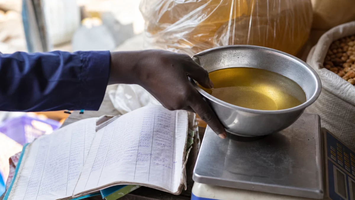 Au Sénégal, la coopération avec l’Indonésie relance le palmier à huile pour réduire les importations