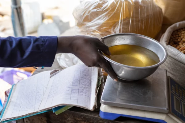 Au Sénégal, la coopération avec l’Indonésie relance le palmier à huile pour réduire les importations