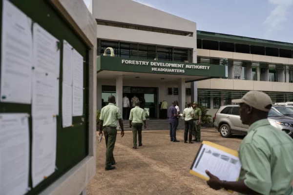 Au Liberia, un refuge médicalise des chimpanzés de laboratoire et relance le débat sur leur protection