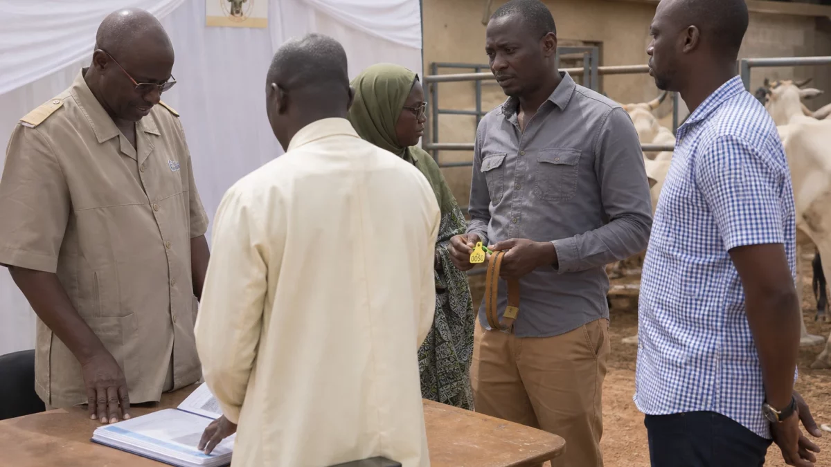 Au Sénégal, la traçabilité numérique doit transformer la lutte contre le vol de bétail dans les zones pastorales
