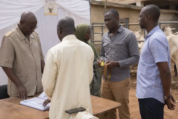 Au Sénégal, la traçabilité numérique doit transformer la lutte contre le vol de bétail dans les zones pastorales
