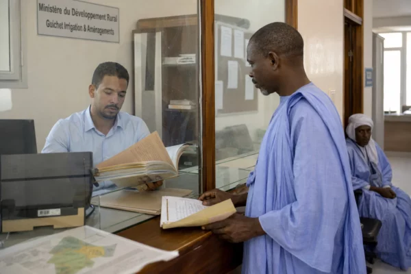 En Mauritanie, Bonifiche Ferraresi mise sur l’irrigation du Brakna pour transformer le blé en levier agricole