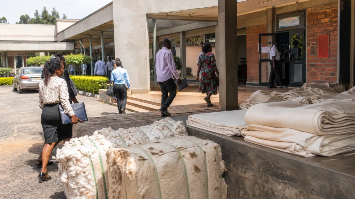 En Ouganda, le pari de Gulu pour transformer le coton et bâtir une industrie textile tournée vers l’Afrique de l’Est