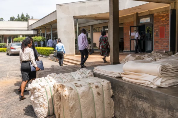 En Ouganda, le pari de Gulu pour transformer le coton et bâtir une industrie textile tournée vers l’Afrique de l’Est