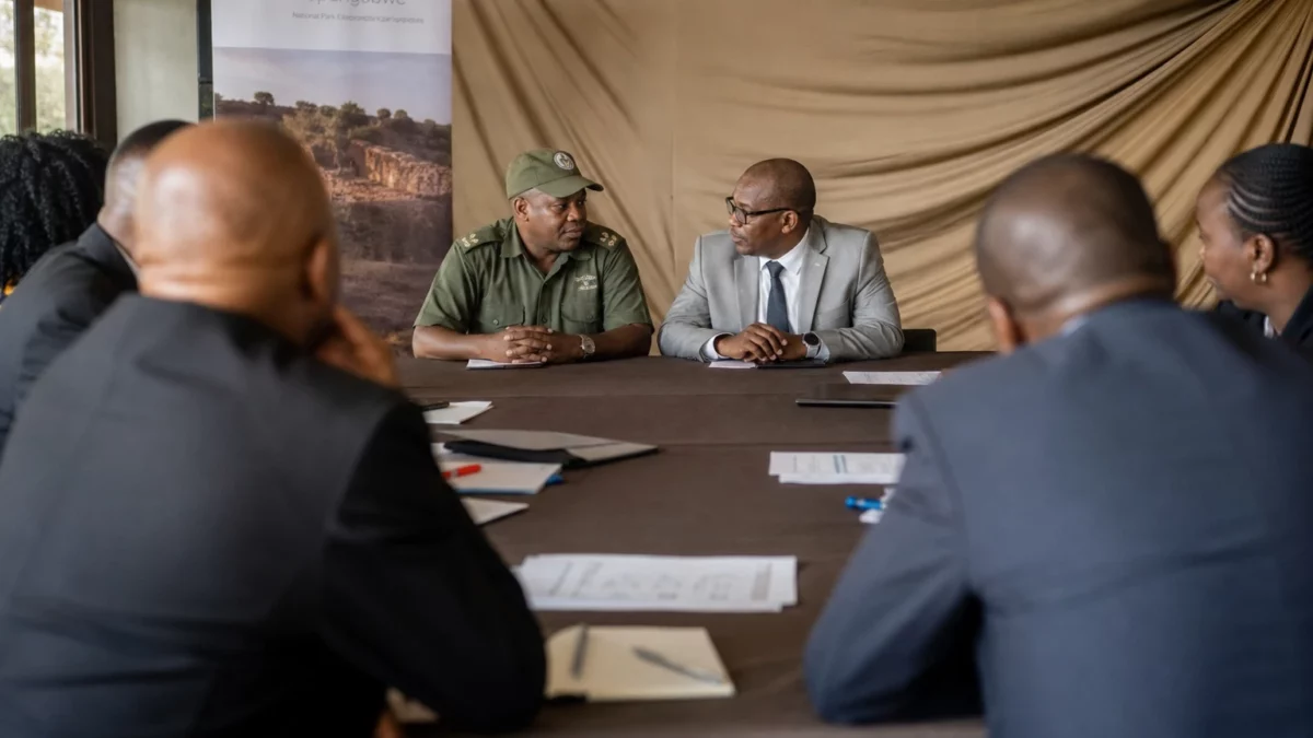 Mapungubwe en Afrique du Sud : quand un royaume ancien devient un atout majeur pour le patrimoine et le tourisme