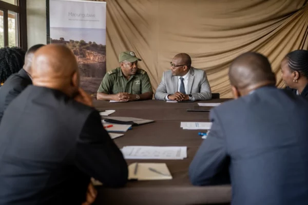Mapungubwe en Afrique du Sud : quand un royaume ancien devient un atout majeur pour le patrimoine et le tourisme