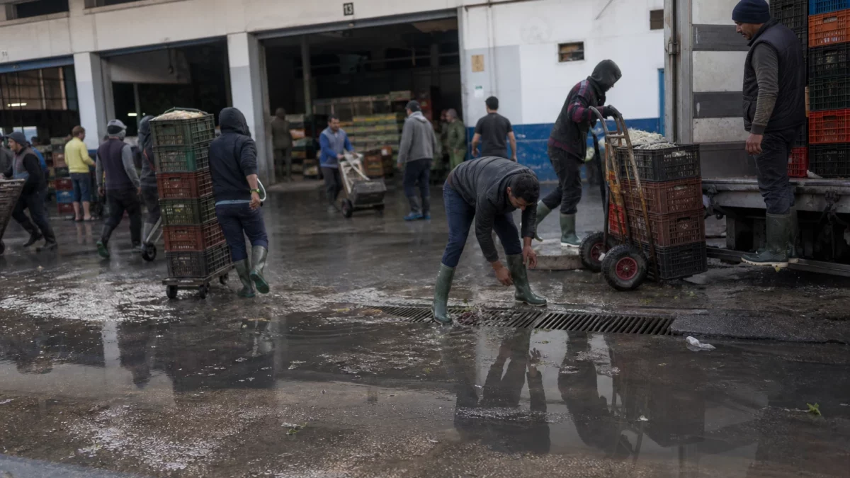À Tunis, les pluies torrentielles révèlent la fragilité des transports, des écoles et des vieux quartiers
