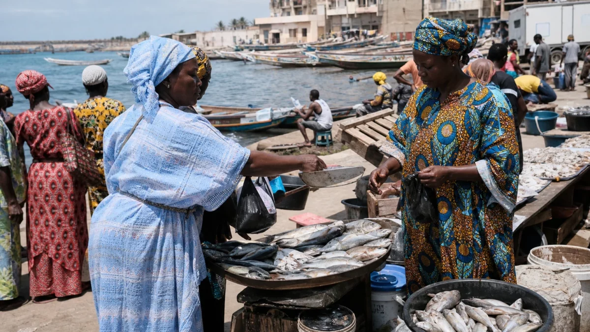 Au Sénégal, le poisson devient plus cher à Dakar tandis que la crise de la pêche pousse les jeunes vers les routes migratoires