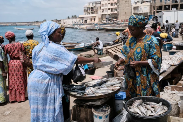 Au Sénégal, le poisson devient plus cher à Dakar tandis que la crise de la pêche pousse les jeunes vers les routes migratoires
