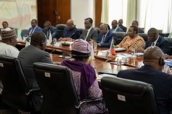 Au Cameroun, les femmes déplacées par Boko Haram reconstruisent leur vie entre survie, terre manquante et marché informel