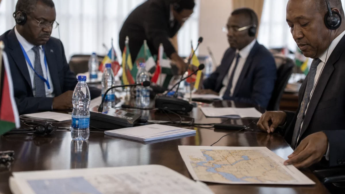 Dattes en Éthiopie : Addis-Abeba veut transformer une filière sous-exploitée en moteur d’exportation