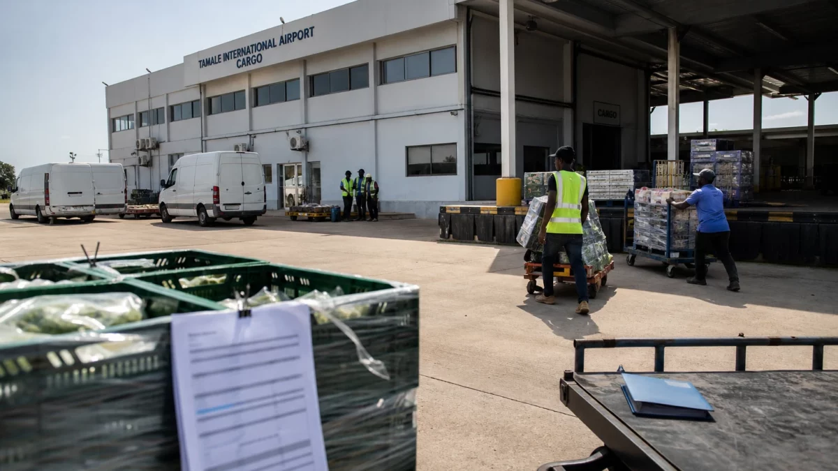 Au Ghana, Tamale s’impose comme l’outil logistique qui peut enfin rapprocher le Nord des exportations agricoles
