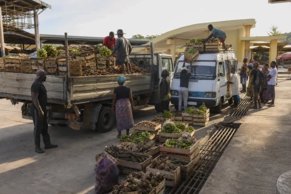 En Côte d’Ivoire, 155 marchés vivriers veulent rapprocher les producteurs des villes et mieux maîtriser les prix