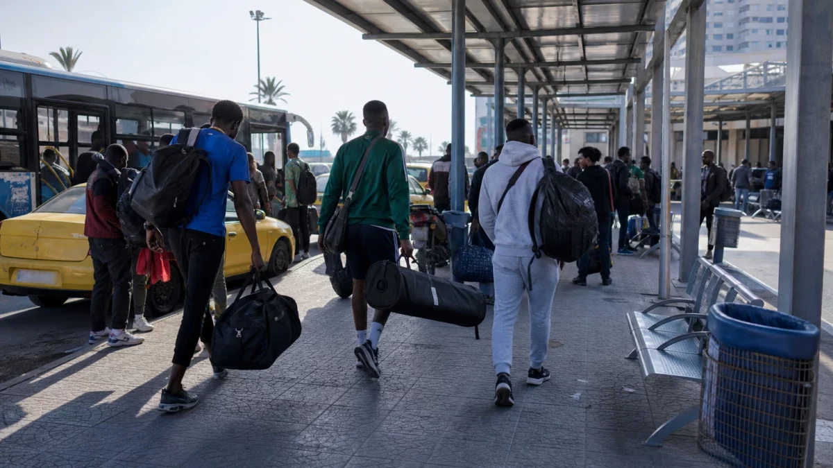 Volleyball Cameroun : les Lions indomptables jouent le titre africain et gagnent leur billet pour le Mondial 2027