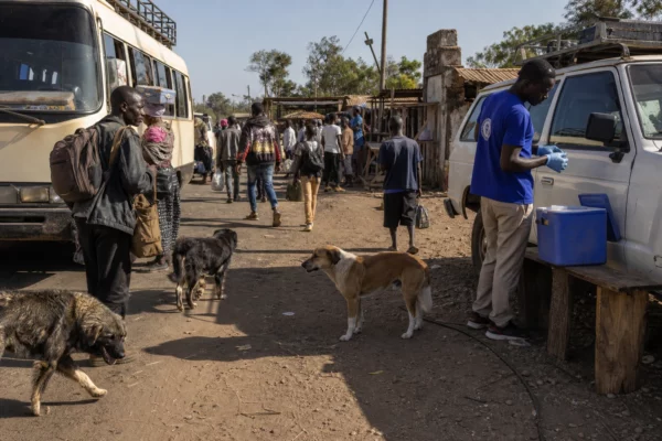 À Birao, les chiens errants racontent une histoire locale et révèlent un défi de santé publique en République centrafricaine