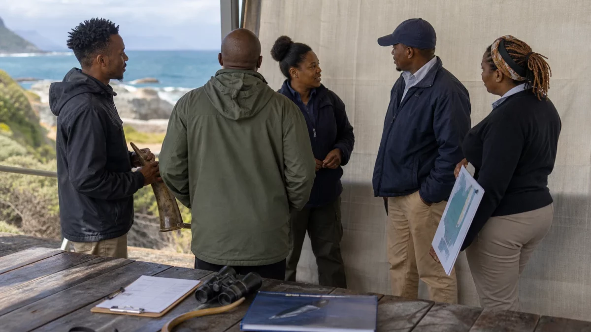 À Hermanus, les baleines franches australes attirent les visiteurs et posent un défi durable à la protection marine